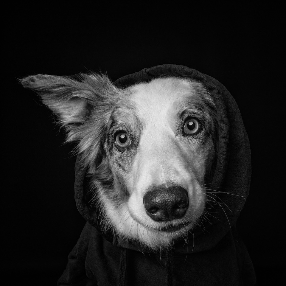 53577194665 9e582c69a6 k